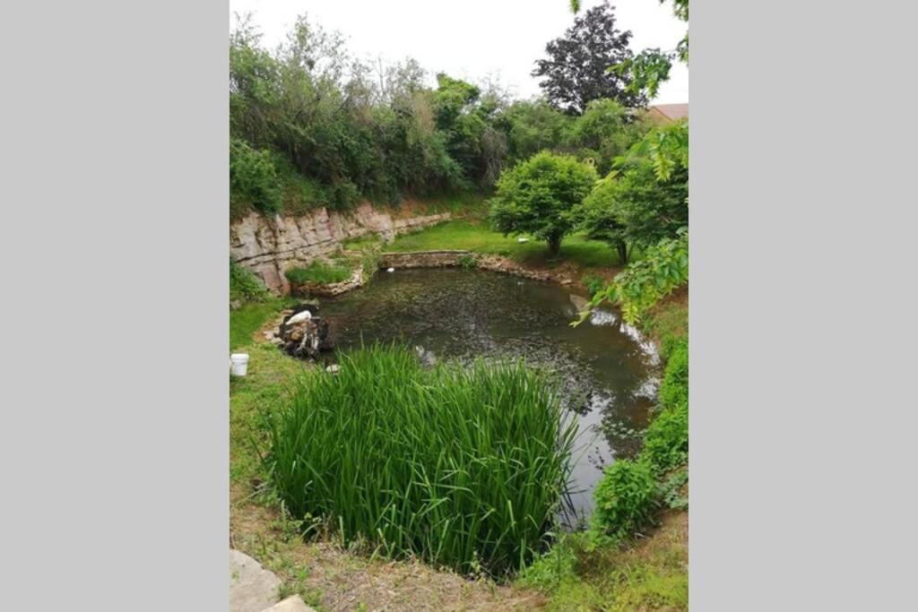 Studio Au Bord De L'Etang Laives 外观 照片