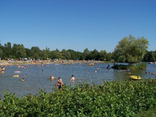Studio Au Bord De L'Etang Laives 外观 照片